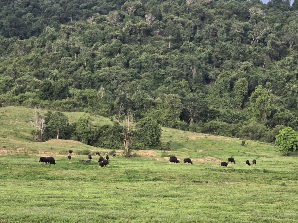 Kui Buri National Park