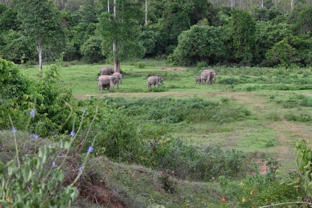 Kui Buri National Park