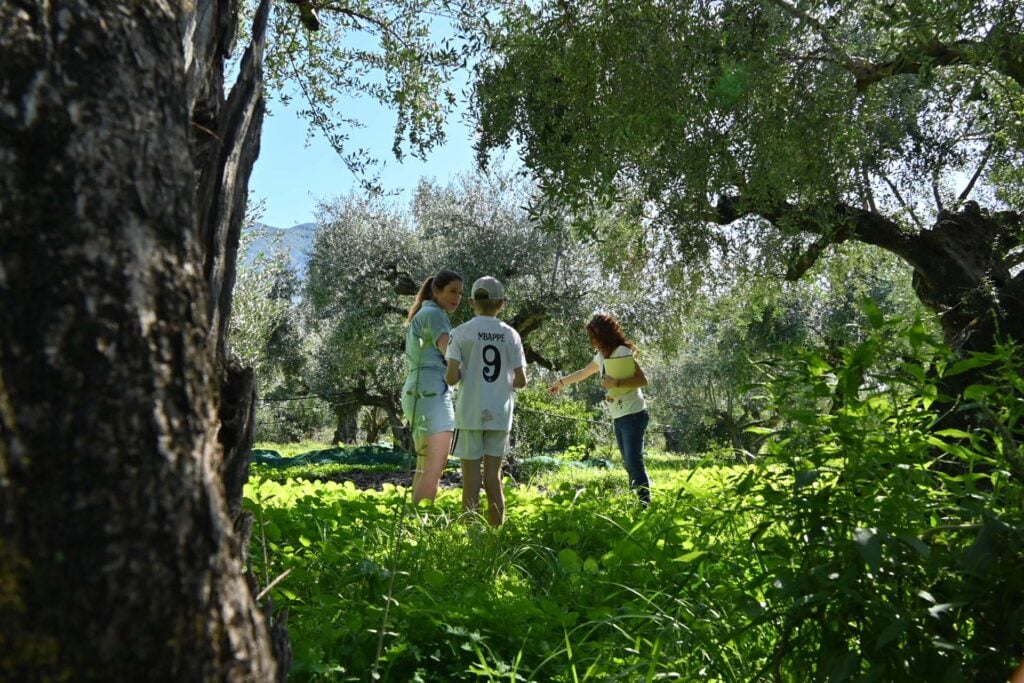 De Olijfolie-experience