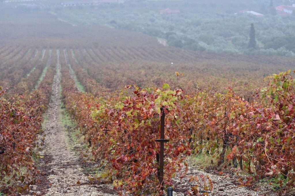 Wijnproeverij in Nemea