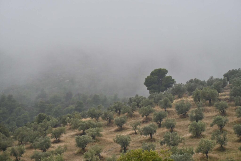 Wijnproeverij in Nemea