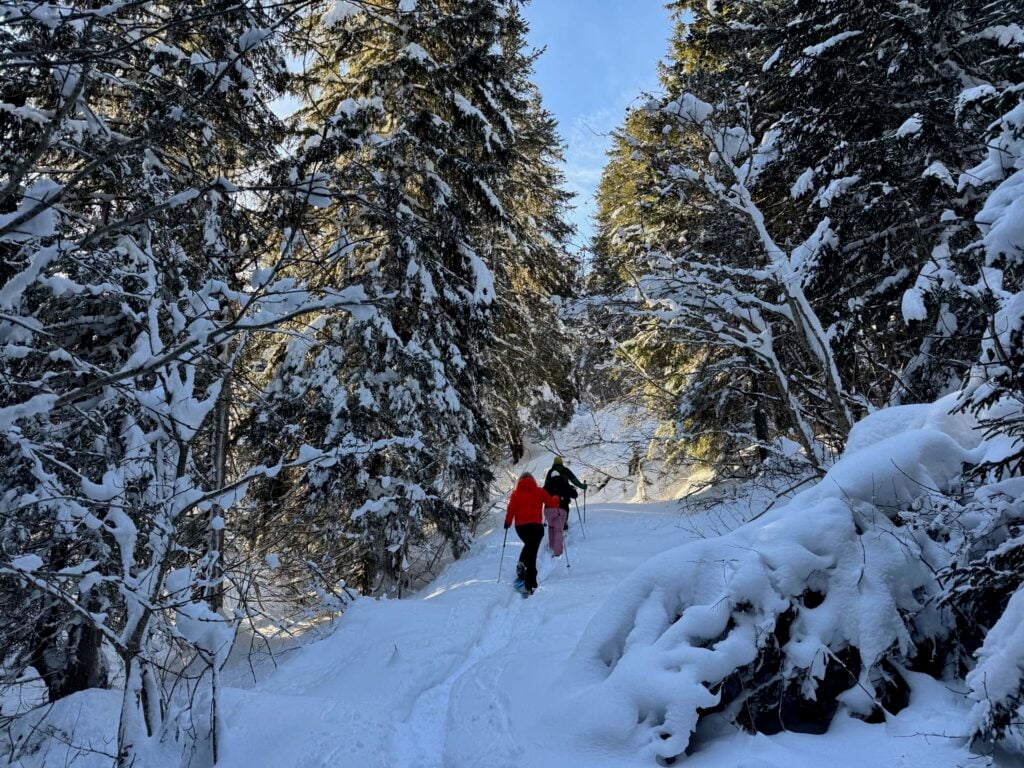 Sneeuwschoenwandelen meribel