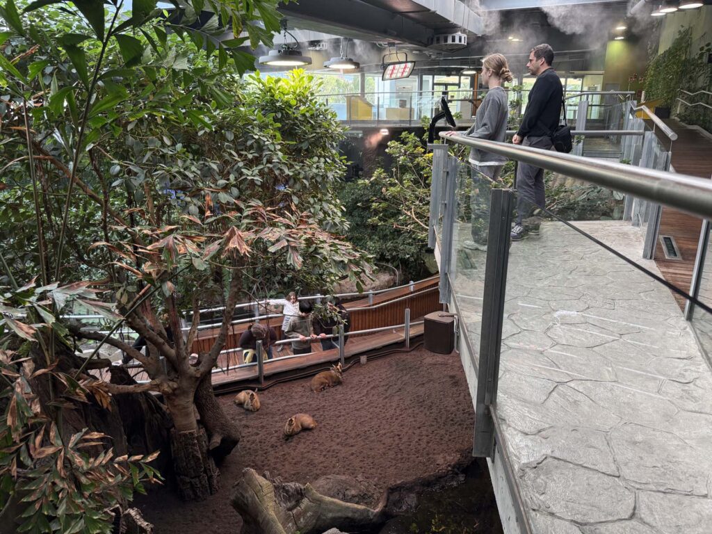 Parque de las Ciencias