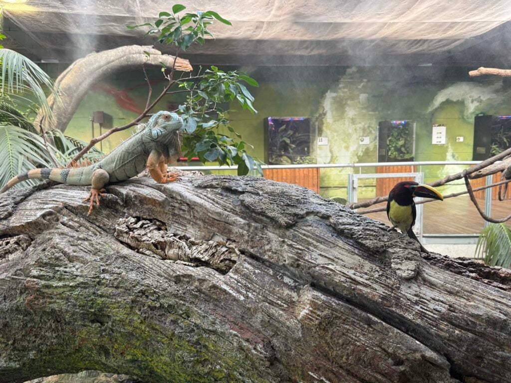 Parque de las Ciencias