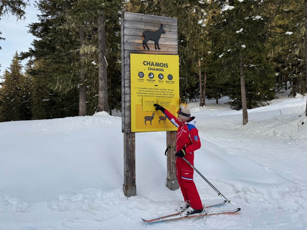 La Piste des Animaux
