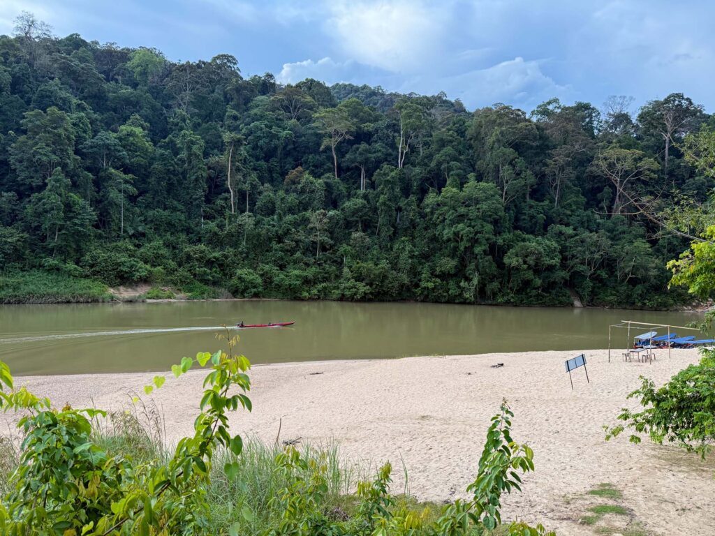 Taman Negara