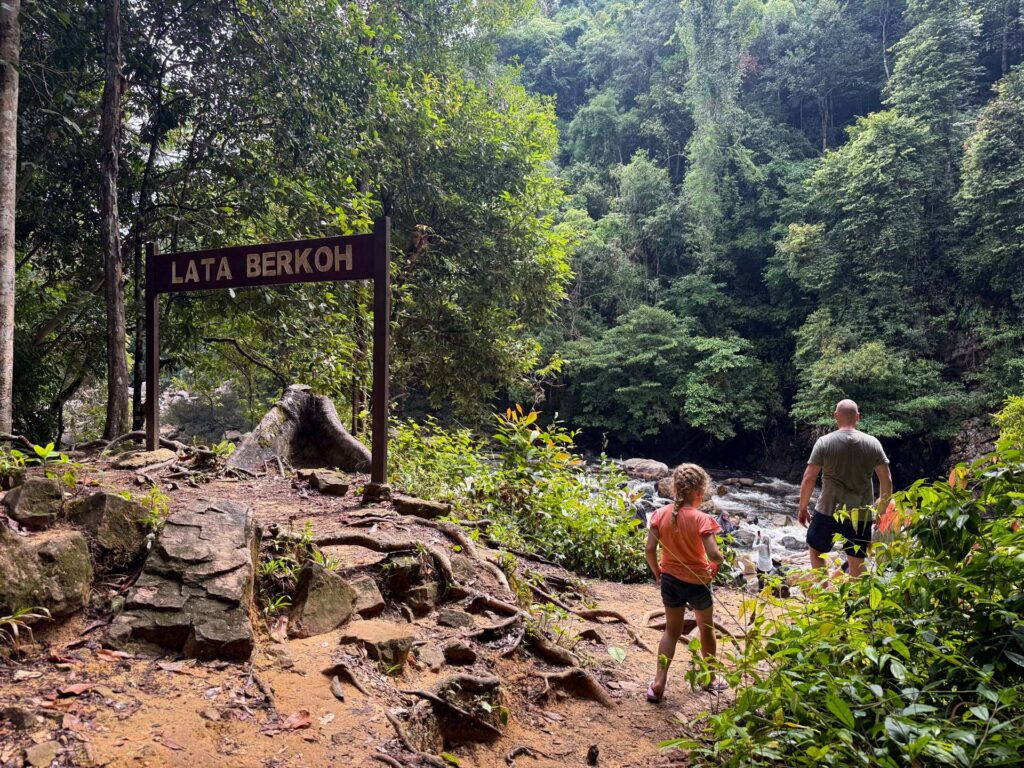 Taman Negara