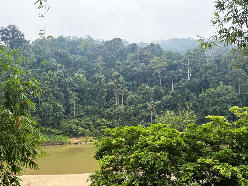 Taman Negara