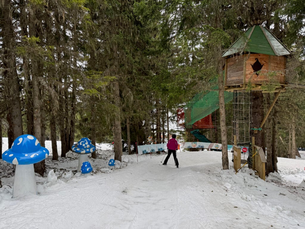 Skigebied Espace Diamant