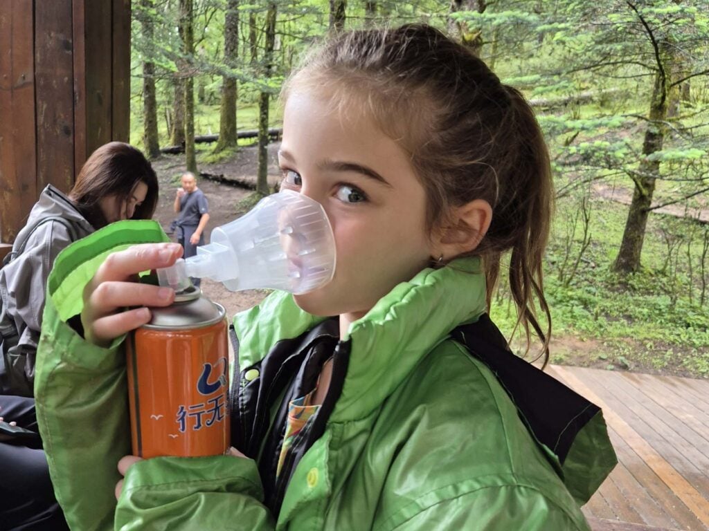 Jade Dragon Snow Mountain