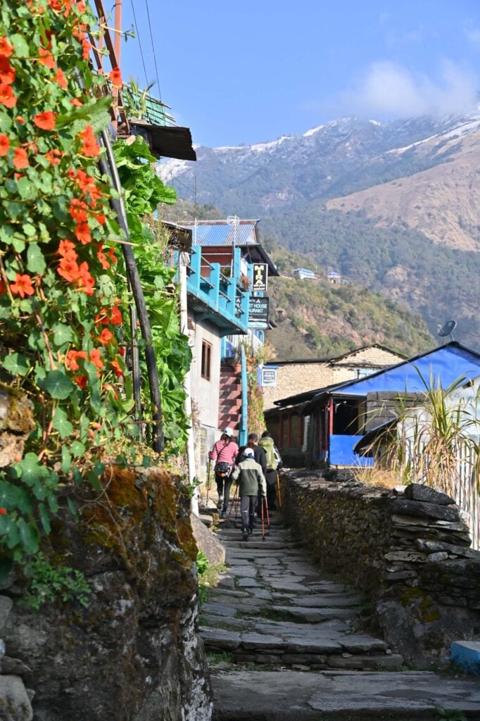 Dag 2 – Van Ulleri naar Ghorepani