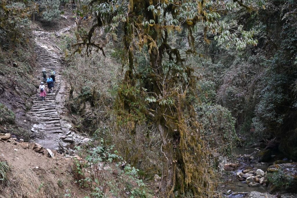 Dag 2 – Van Ulleri naar Ghorepani