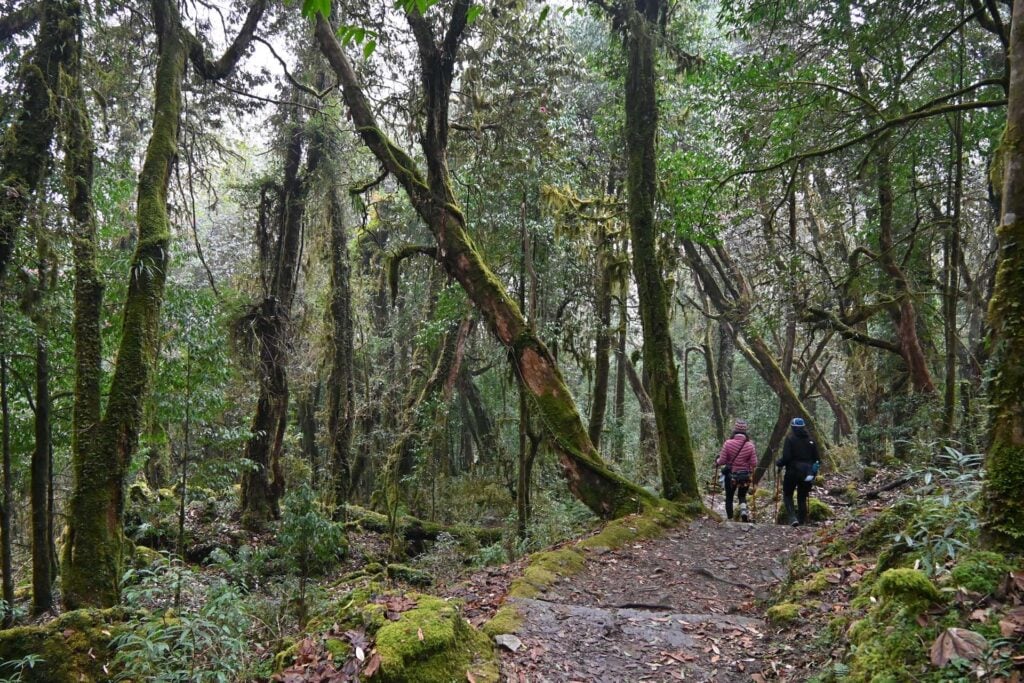 Nepal-met-kinderen-Trekking-Poon-Hill-dag-4