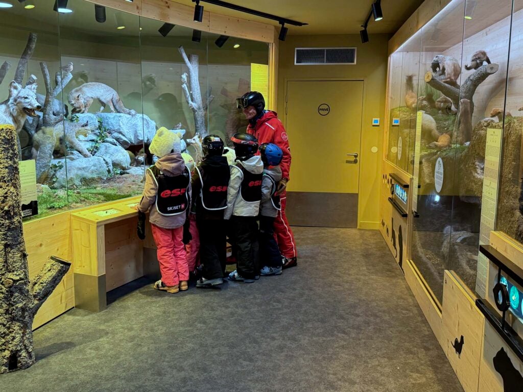 Peisey-Vallandry Museum-des-Animaux-de-Montagne