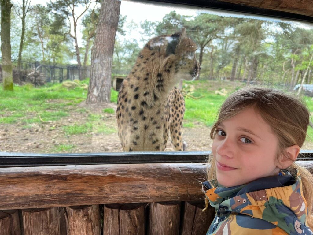 Beekse Bergen Safari hotel met kinderen