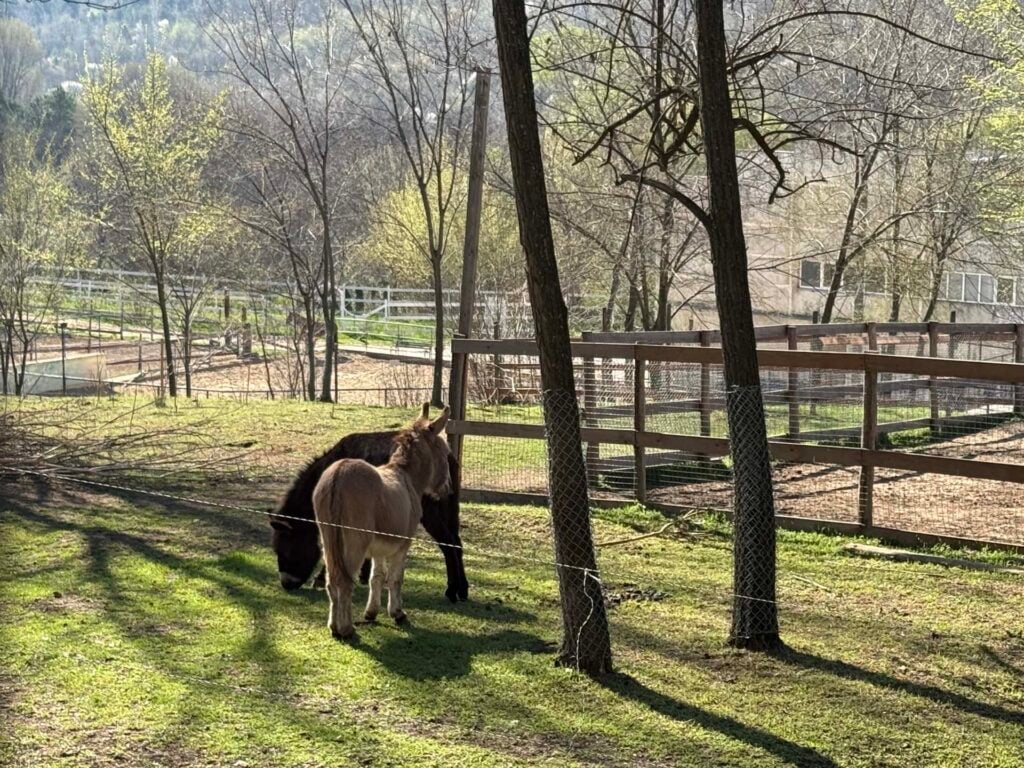 Chișinău Zoo