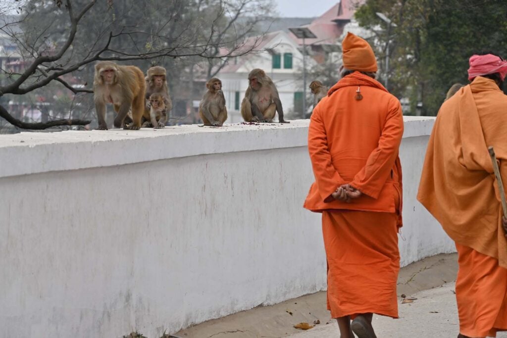 Pashupatinath