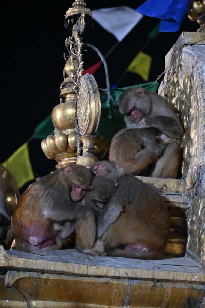 Swayambhunath