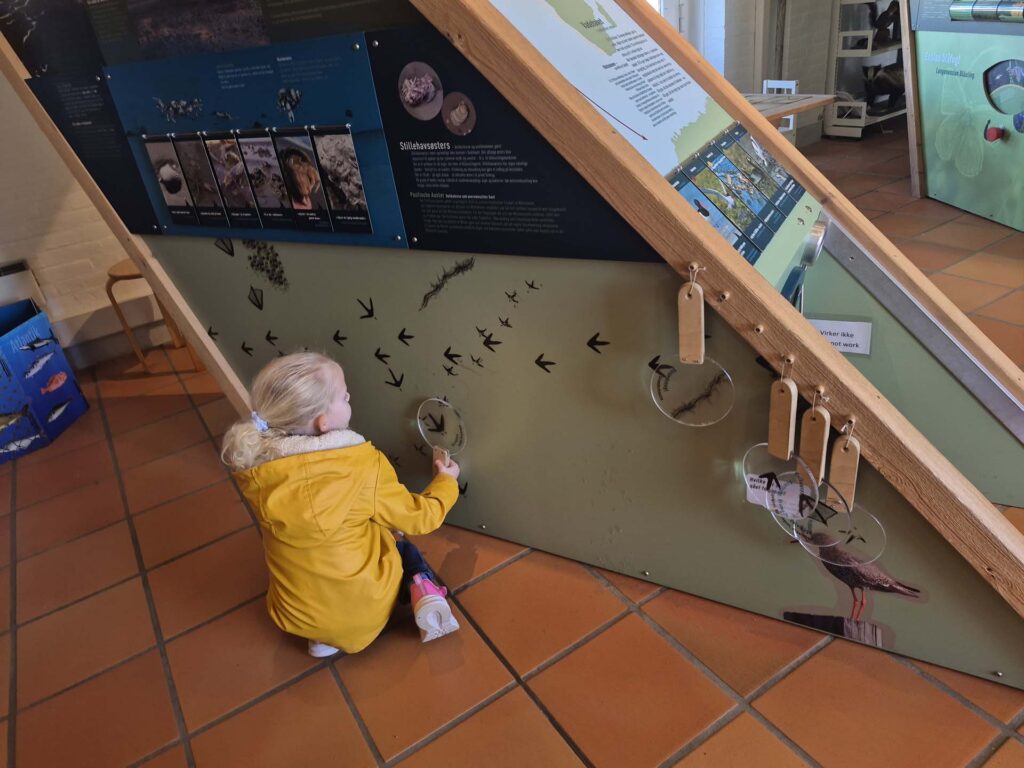 Tønnisgaard Natuurcentrum op Rømø