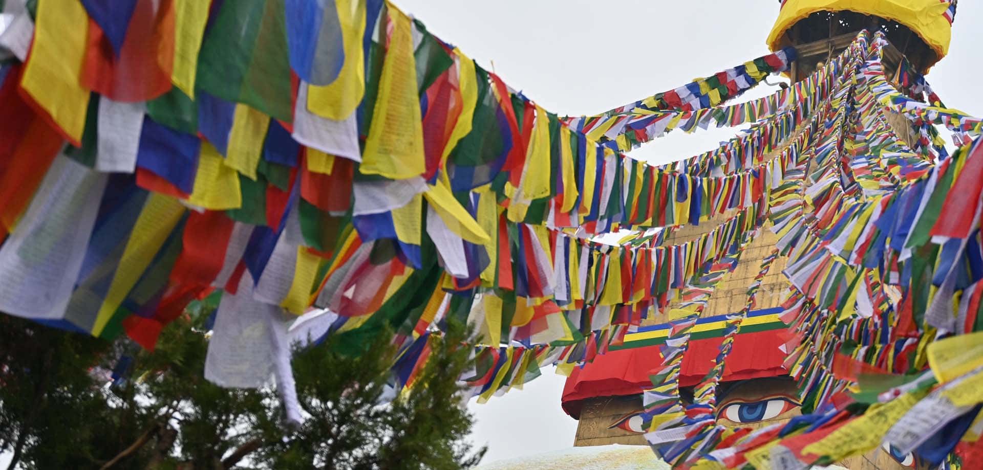 Kathmandu met kinderen: onze ervaring in de drukste stad van Nepal
