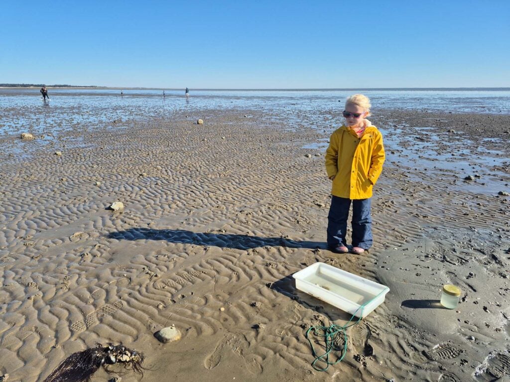 Waddenzee Kids Expeditie