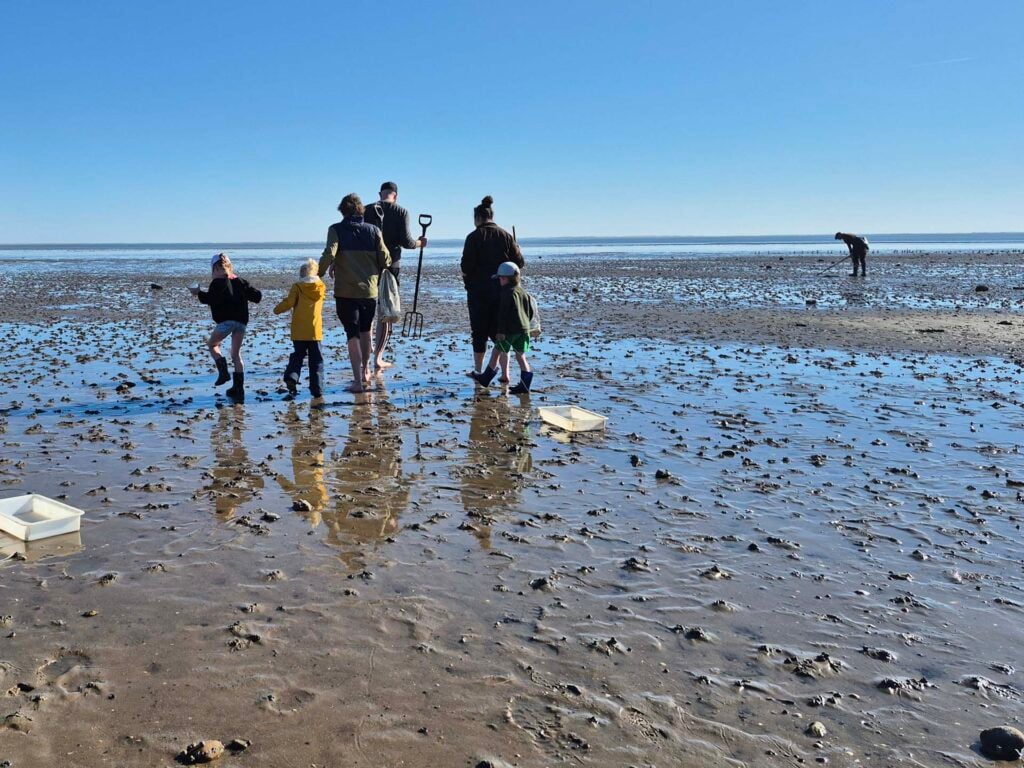 Waddenzee Kids Expeditie