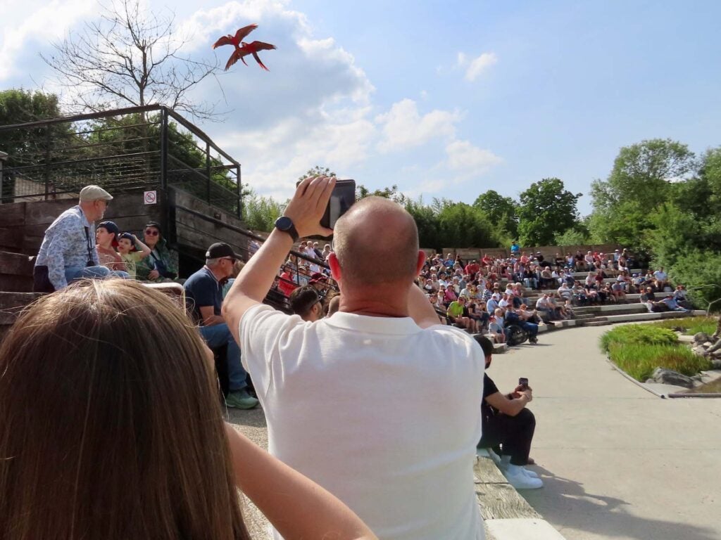 Parc des Oiseaux