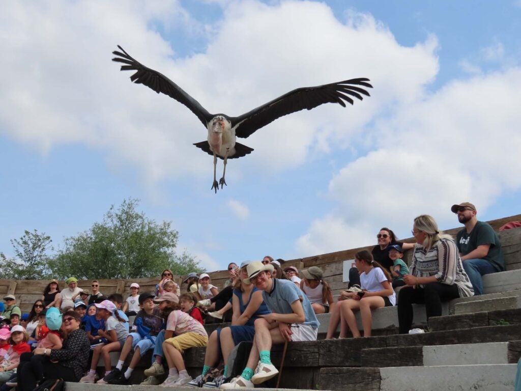Parc des Oiseaux