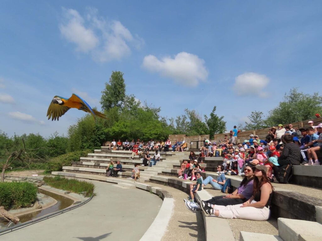 Parc des Oiseaux