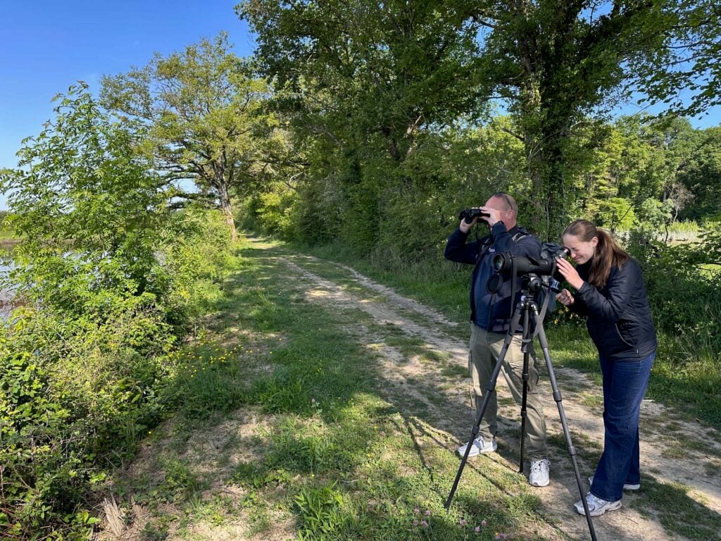 Vogels spotten in La Dombes