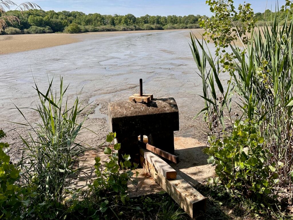 Vogels spotten in La Dombes