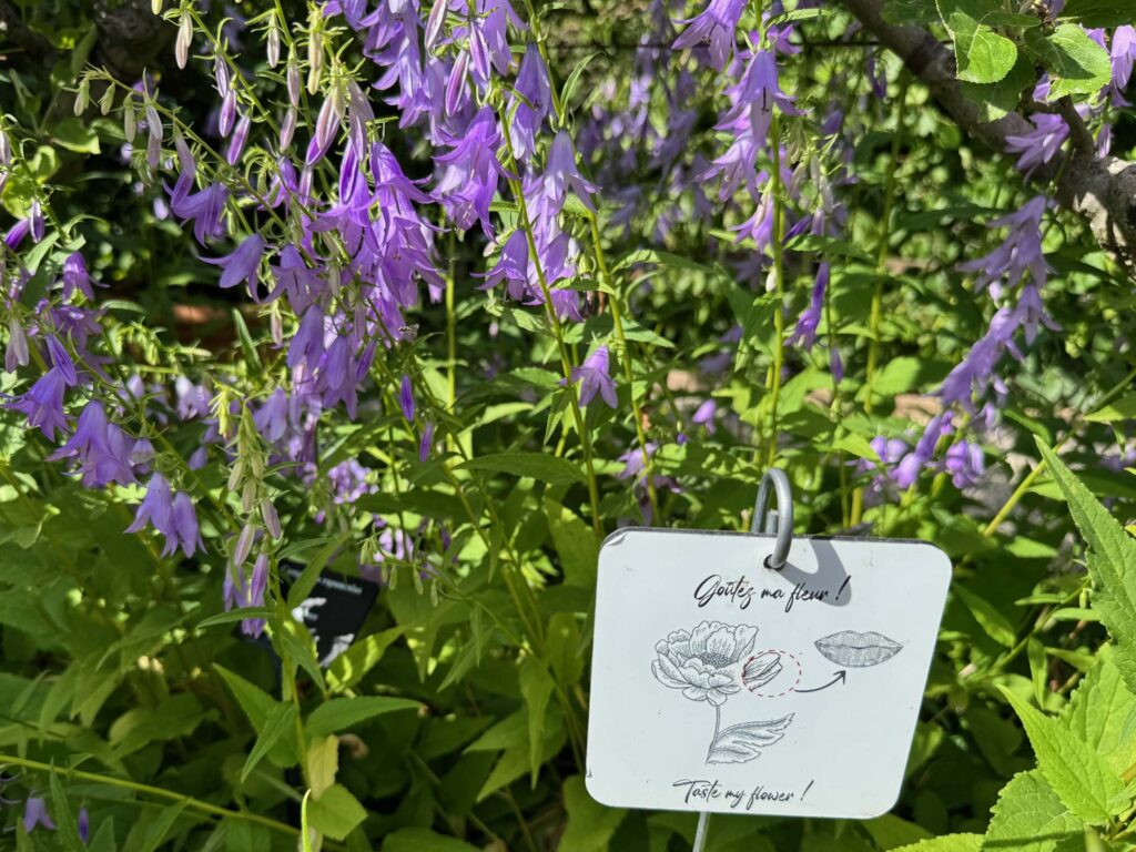 Le Jardin des Cinq Sens