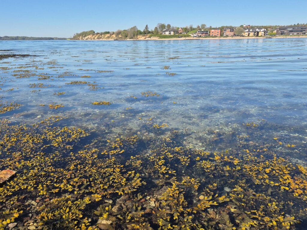 Sonderborg