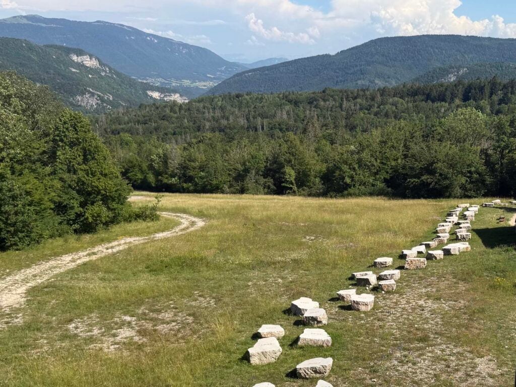 Dinoplagne