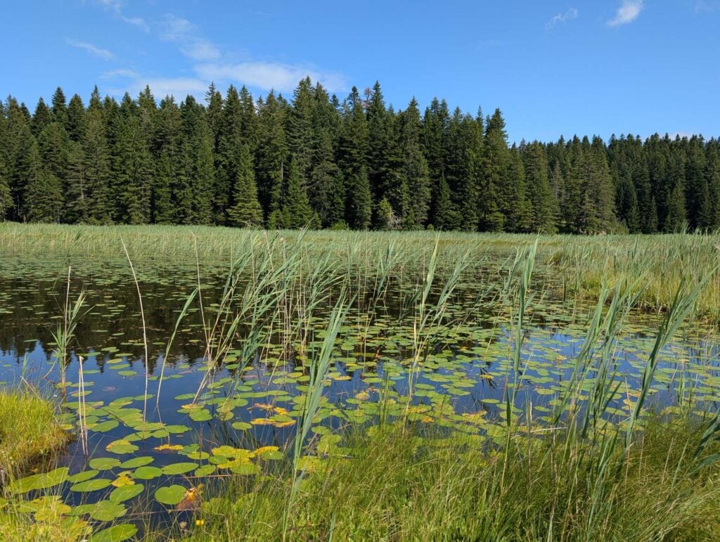 Barno Jezero