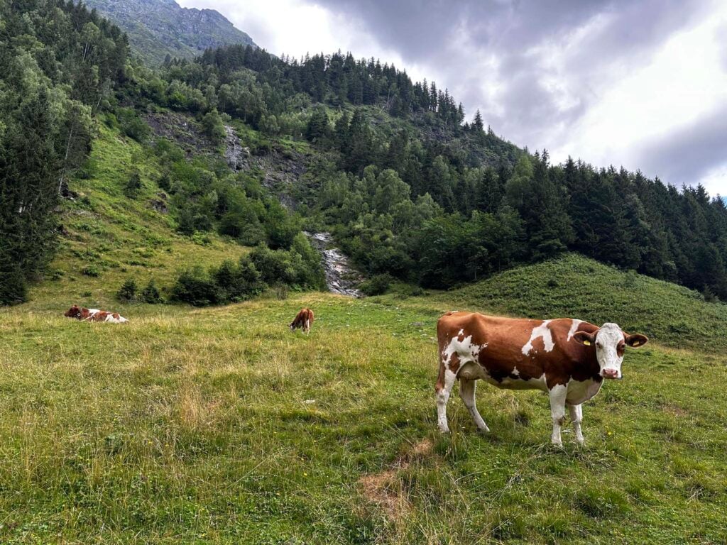 Schösswendklamm en Hintersee
