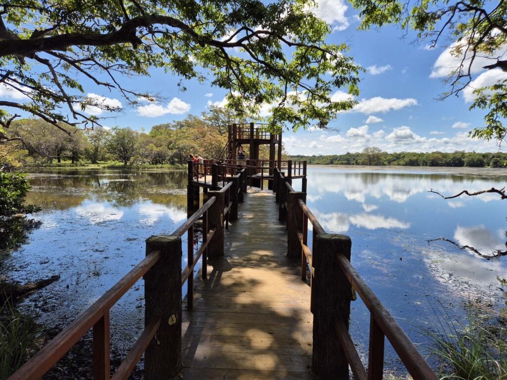 Wilpattu Nationaal Park