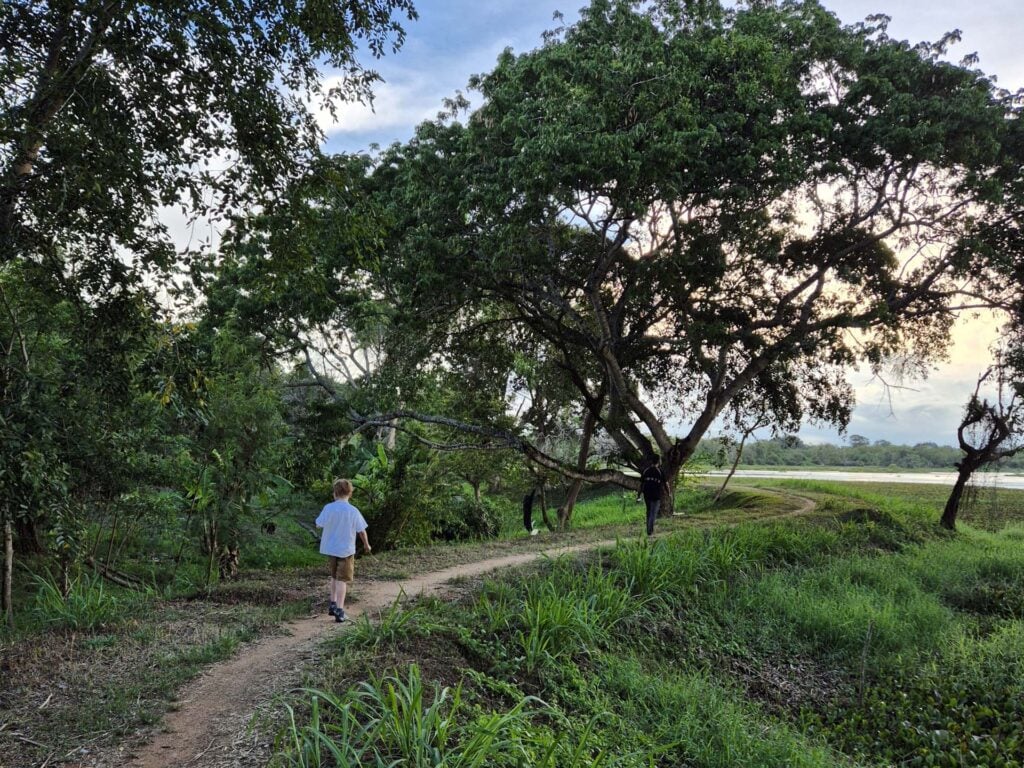 Wilpattu Nationaal Park
