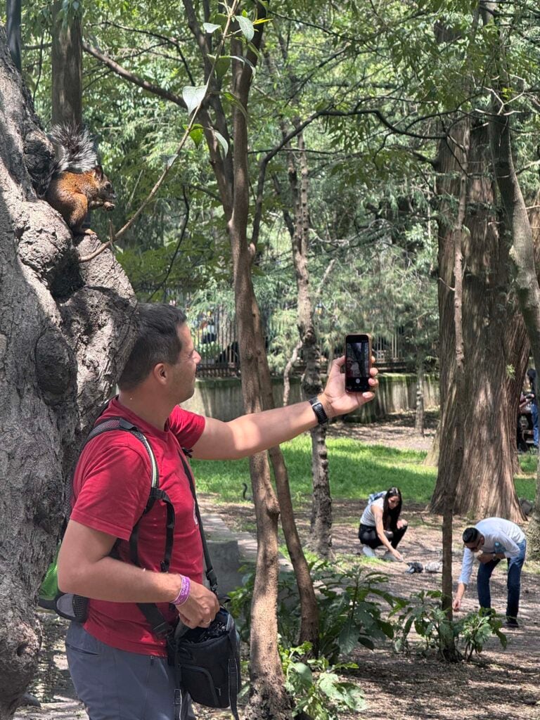 Chapultepec park