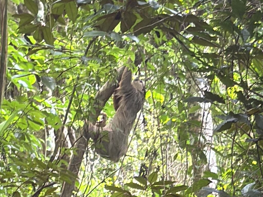 Panama