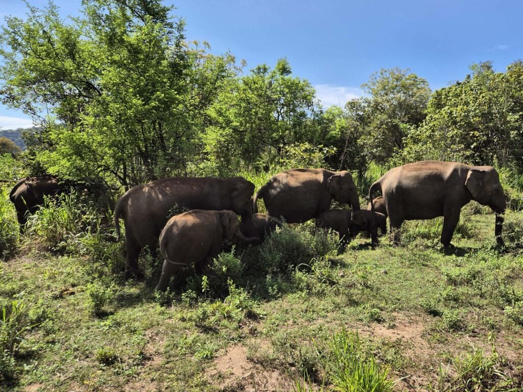 Hurululu Eco Park