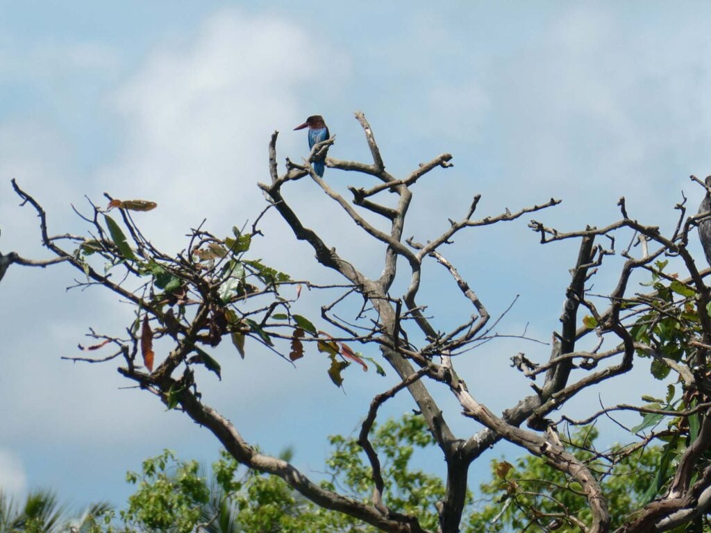 Hurululu Eco Park