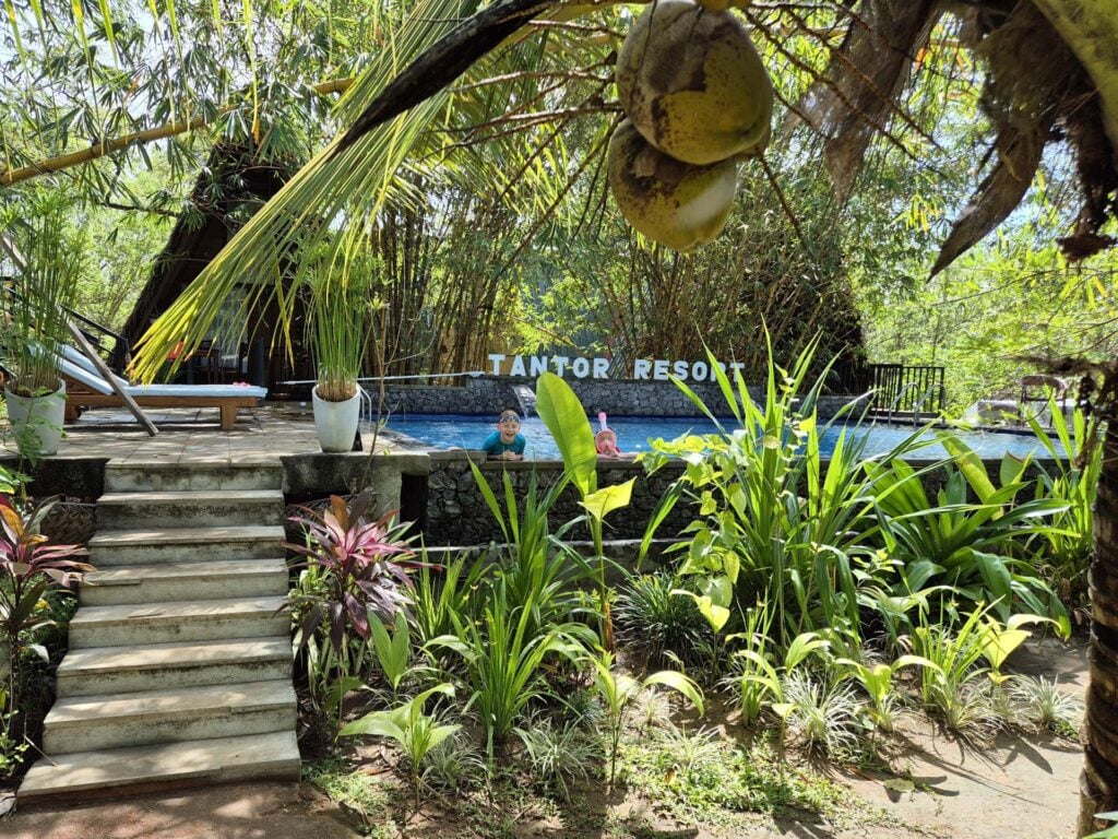 Tantor Resort Hotel & Spa in Habarana.