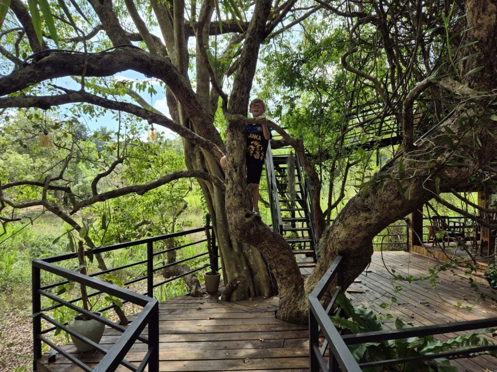Tantor Resort Hotel & Spa in Habarana.