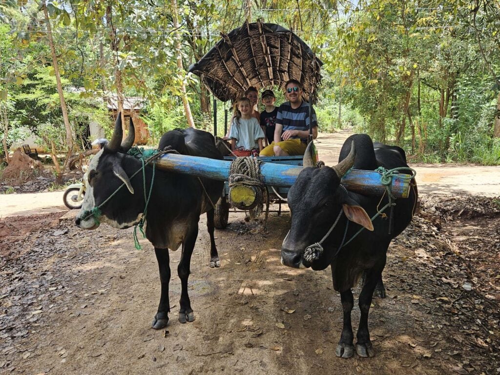village tour in Hiriwadunna