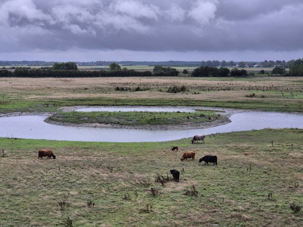 Natuurpark Het Zwin