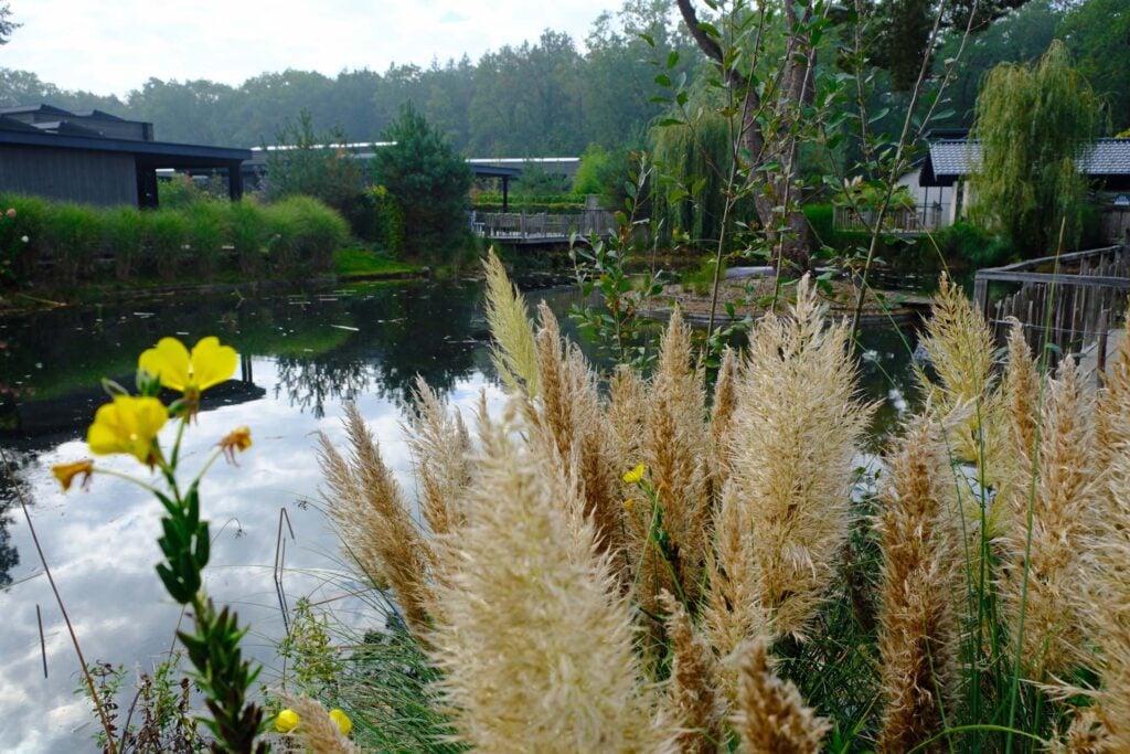 Vakantiehuizen Landal Soof Heuvelrug